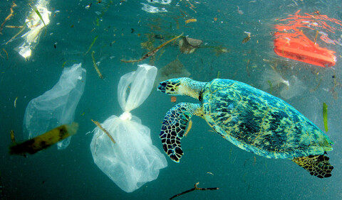 Het materiaal   ECO PET 2